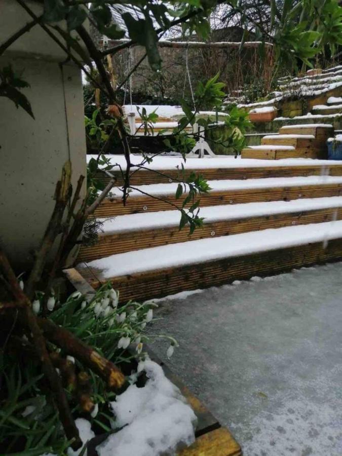 باليمينا Midden Manor Country Stay On A Working Dairy Farm المظهر الخارجي الصورة